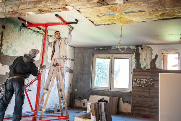 Best Local Insulation Services  in Northville, NY