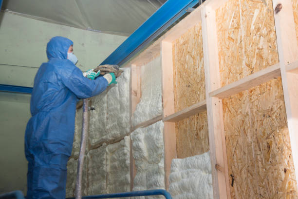 Best Insulation for Commercial Buildings  in Northville, NY