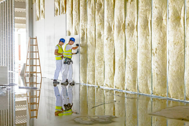 Best Insulation Replacement Services  in Northville, NY